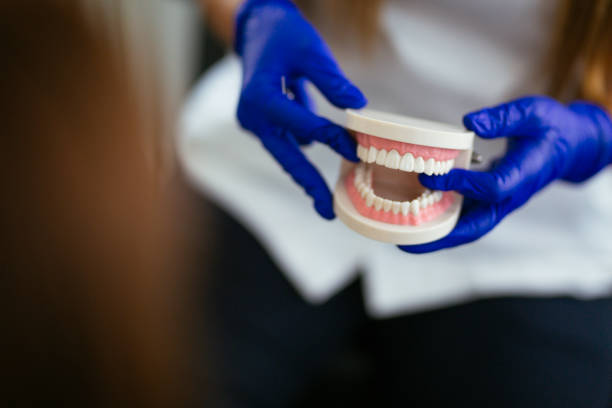 Professional  Holistic Dental Services in University At Buffalo, NY